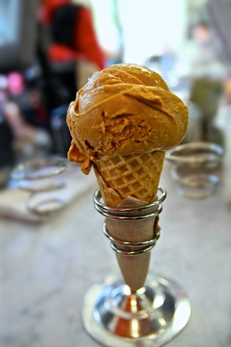 Salted Caramel Ice Cream from Bi-Rite Creamery