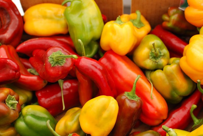 Bell Peppers