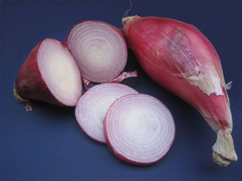 Red Torpedo Onions