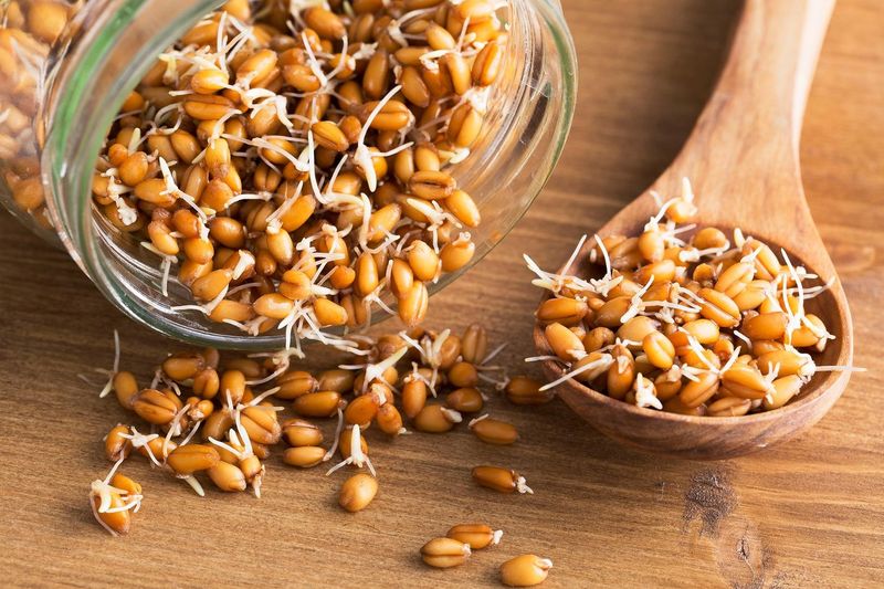 Wheat Germ