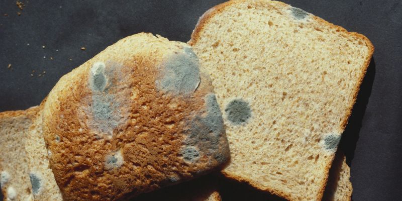 Ignoring Expiration Dates or Moldy Spots