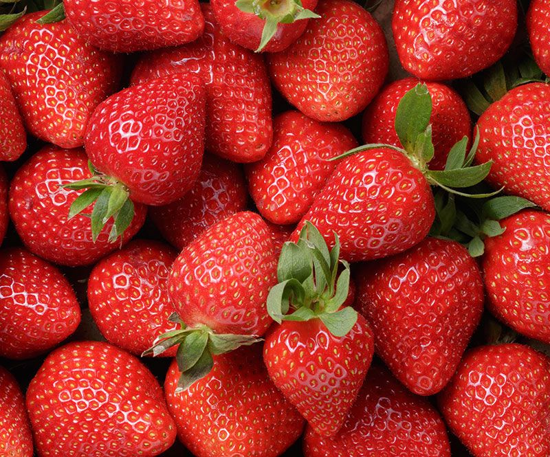 Pick Strawberries with Green Caps Intact