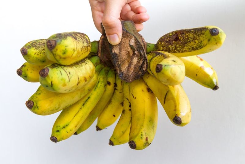 Bananas (Cavendish Variety)
