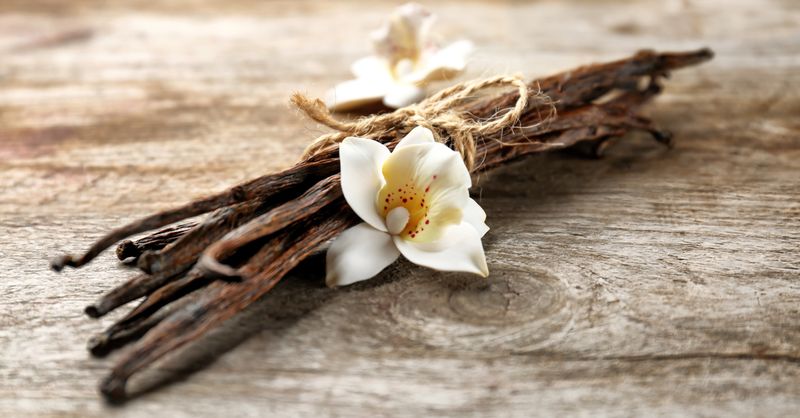 Vanilla: Labor of Love