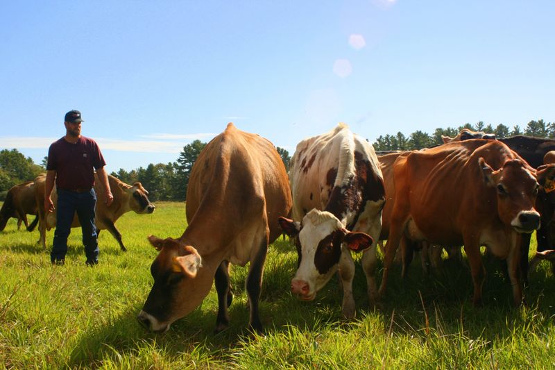 New Hampshire: Stonyfield Organic