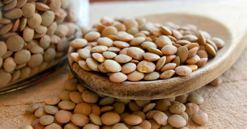 Beans and Lentils