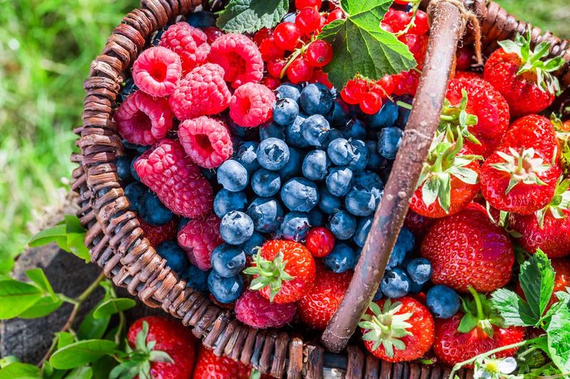 Berries