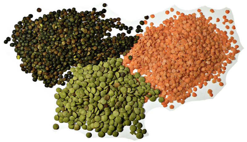 Lentils