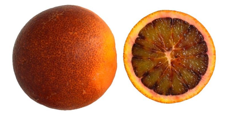 Blood Oranges (When Underripe)