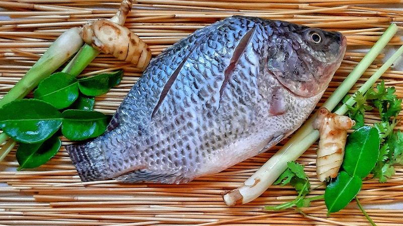 Fish (Especially Tilapia)