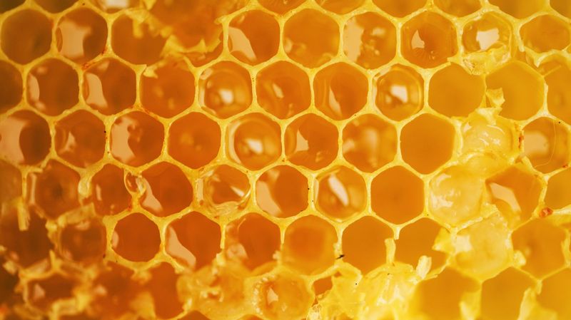 Honey