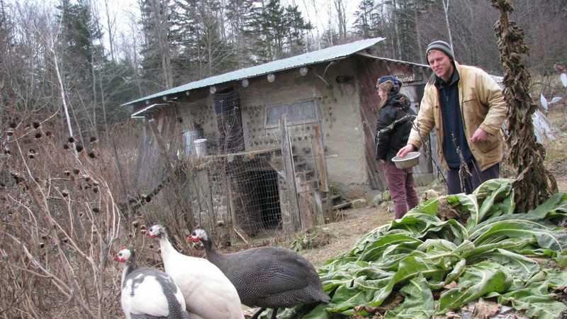 D Acres Permaculture Farm (Dorchester)