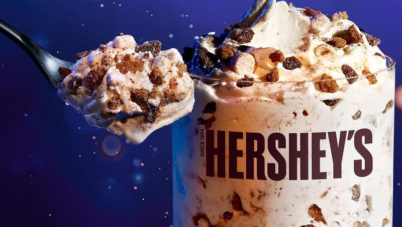 Hershey’s S’mores McFlurry