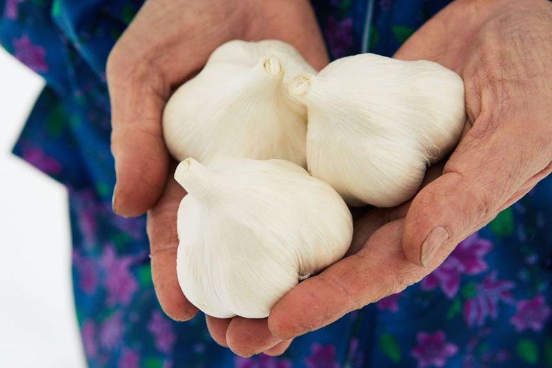 Garlic Anything on a First Date