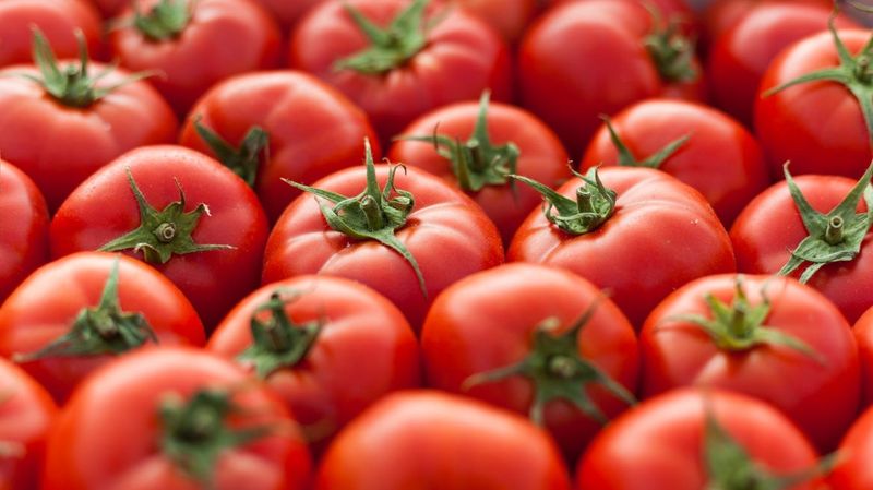 Tomatoes