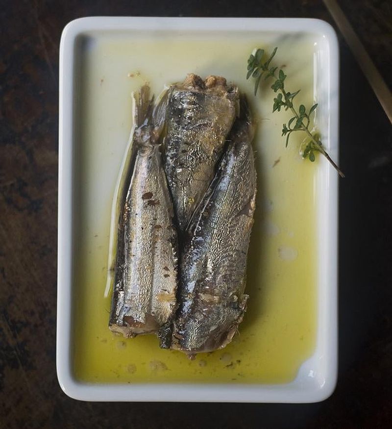 Canned Sardines in Olive Oil