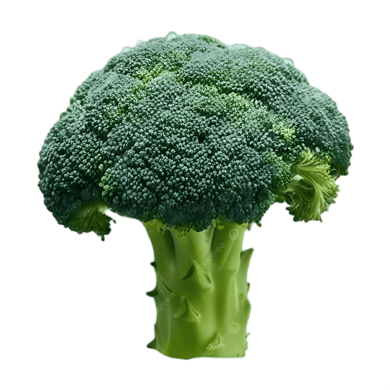Broccoli