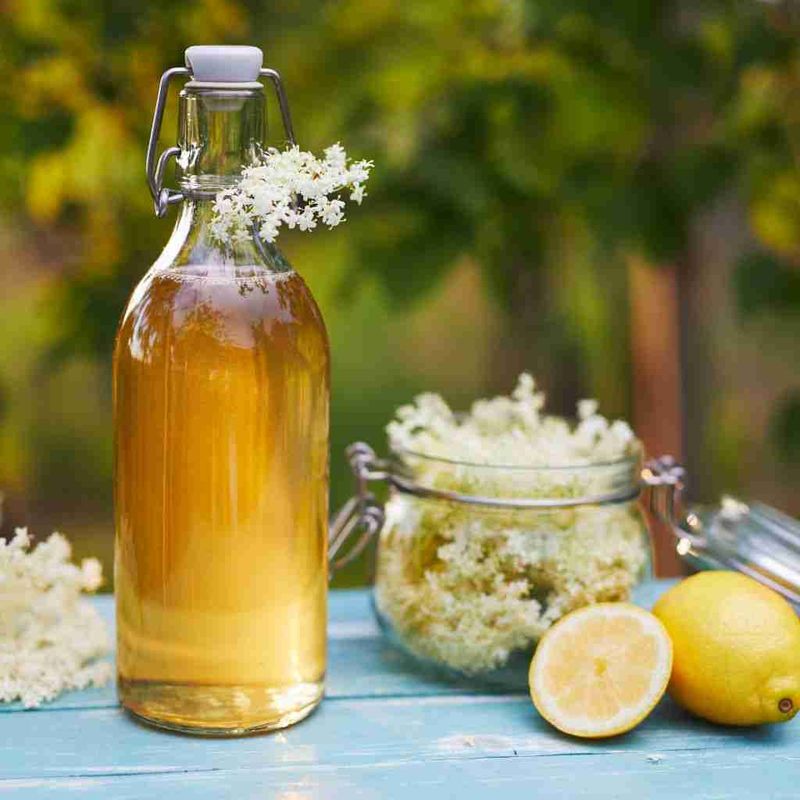 Elderflower Cordial