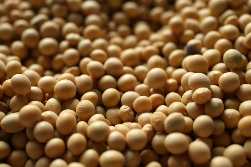 Soybeans