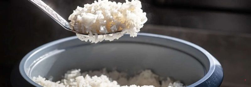 Cooked Rice (If Not Stored Properly)