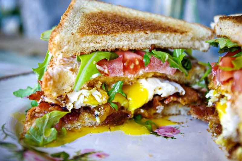BLT with a Fried Egg