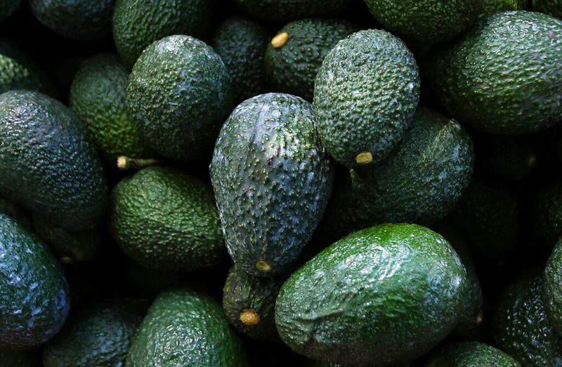 Avocados