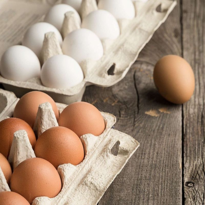 Store Eggs Properly