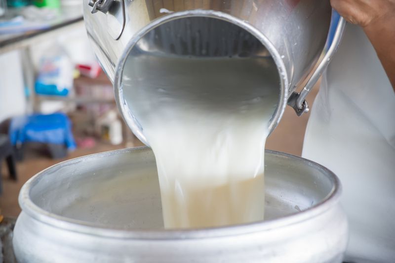 Unpasteurized Dairy Products