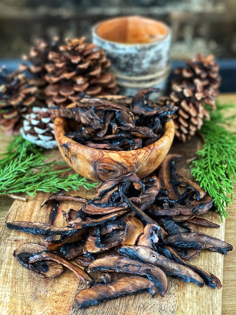 Mushroom-Based Jerky