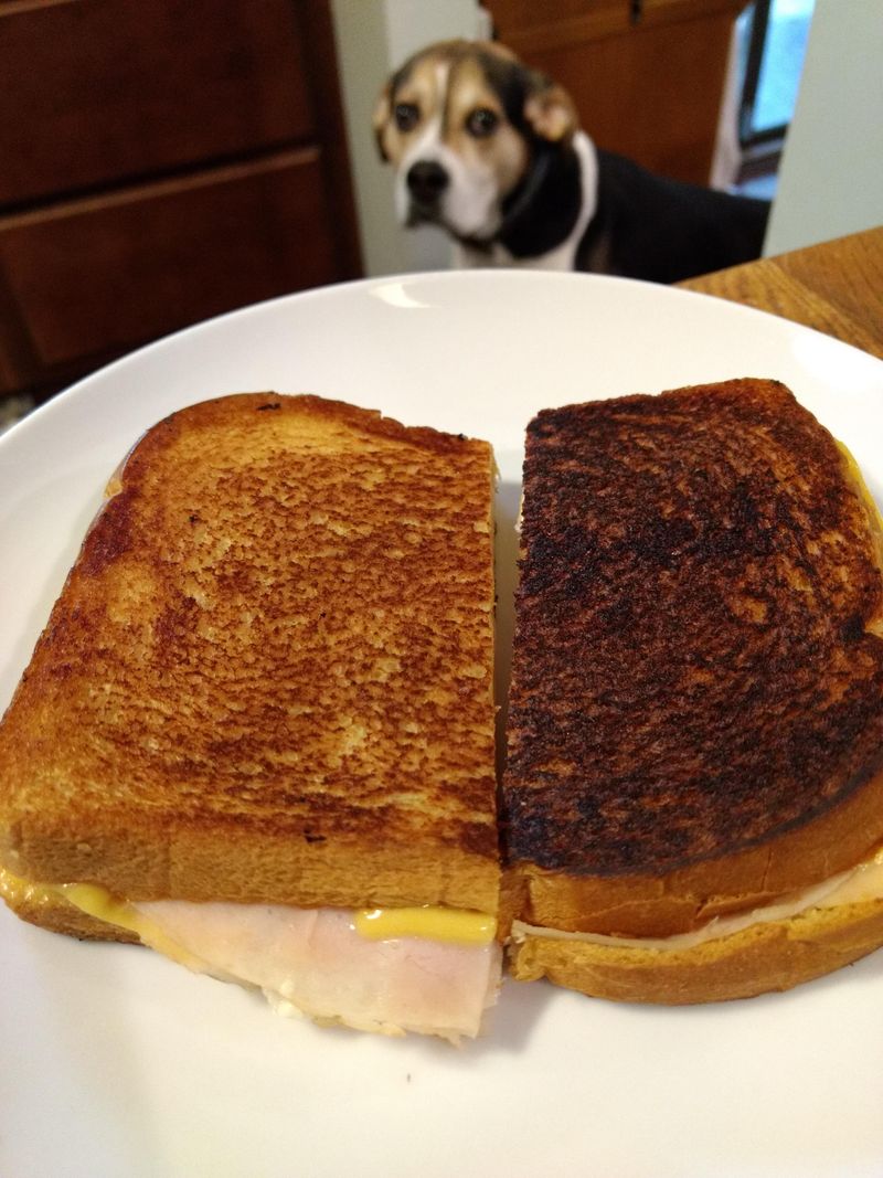 Panini That’s Burnt on the Outside and Cold in the Middle