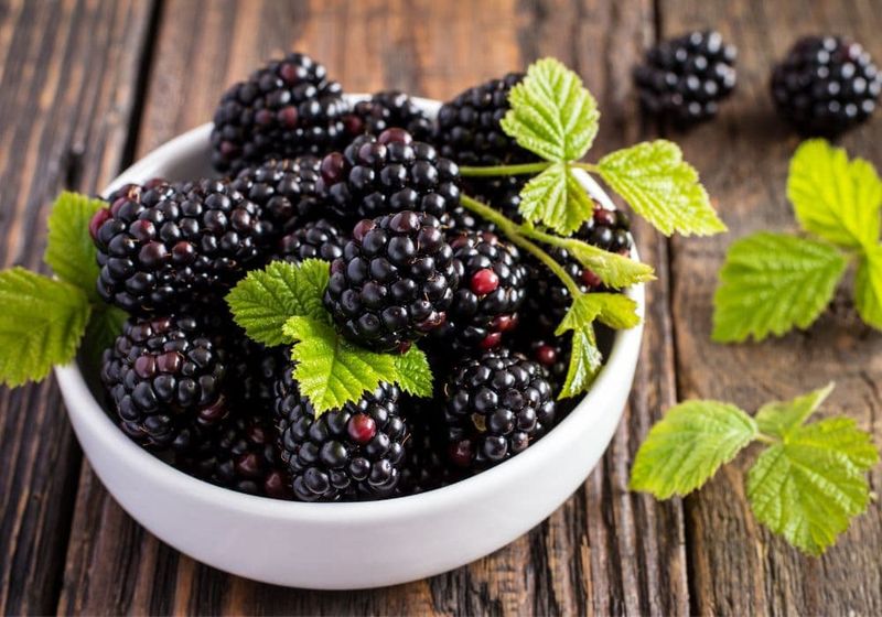 Blackberries