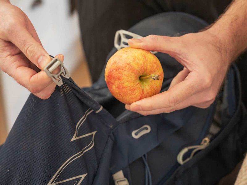 Cut Fresh Fruit or Dried Fruit