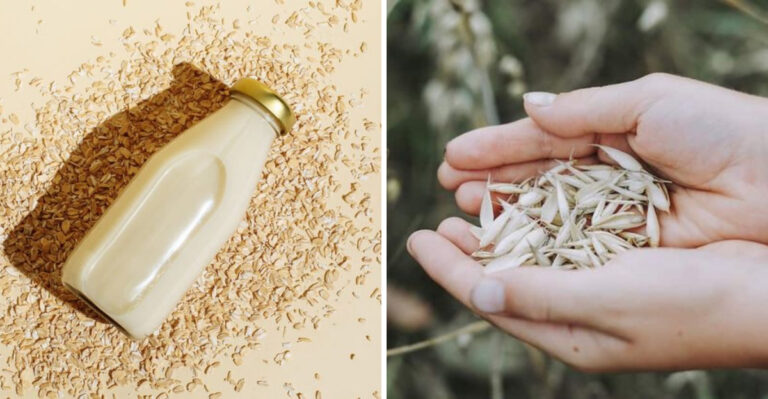 10 Disadvantages Of Oat Milk That Might Surprise You