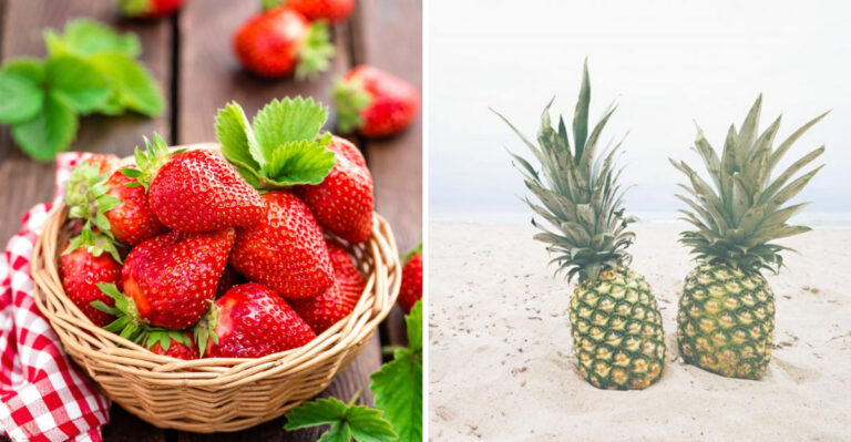 10 Fruits So Refreshing, You Might Forget About Drinking Water