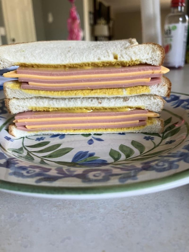 Bologna and Cheese Sandwich