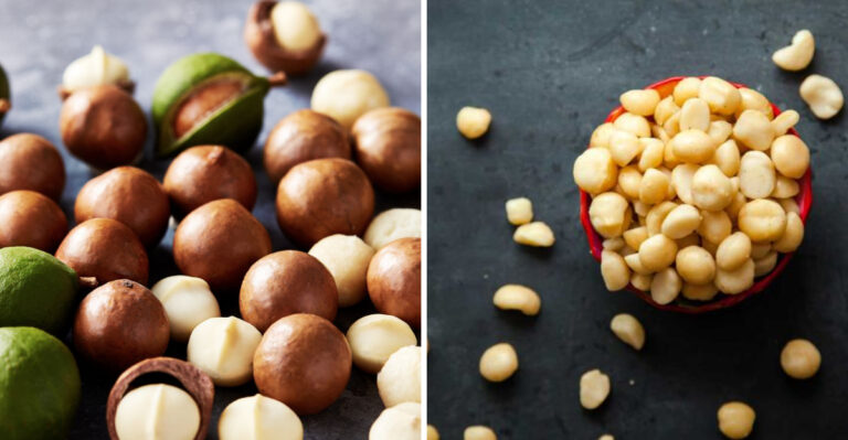 10 Reasons Why Macadamia Nuts Should Be Added To Your Diet