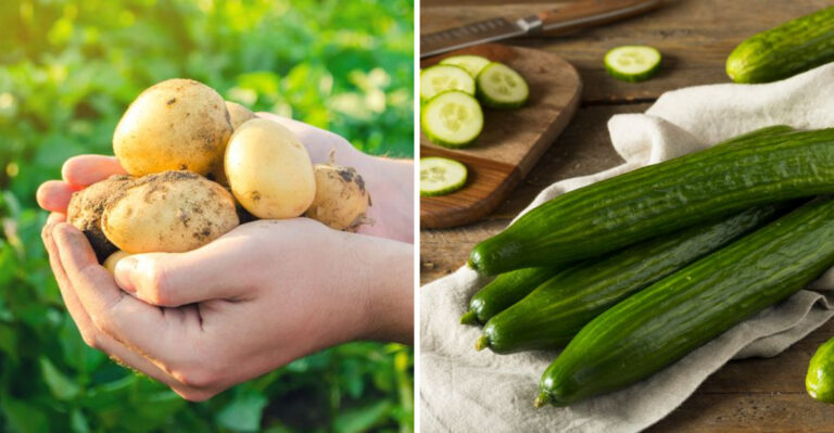 10 Vegetables You Should Never Peel To Maximize Their Health Benefits
