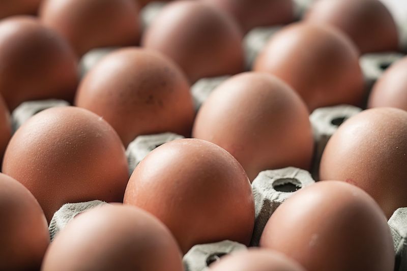 Source: August Egg Company