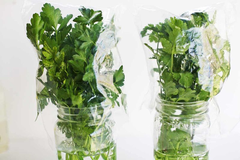 Store herbs in a jar of water like flowers