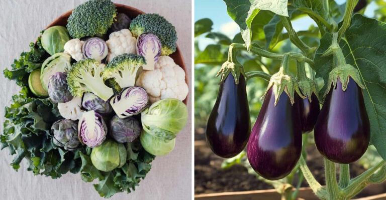 5 Foods You Should Never Eat Raw With A Fatty Liver
