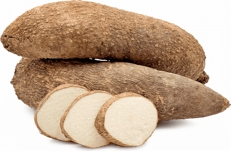 Yams (Dioscorea)
