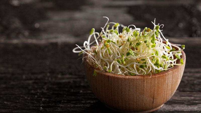 Raw Sprouts (Like Alfalfa)