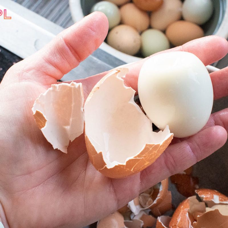 Eggs