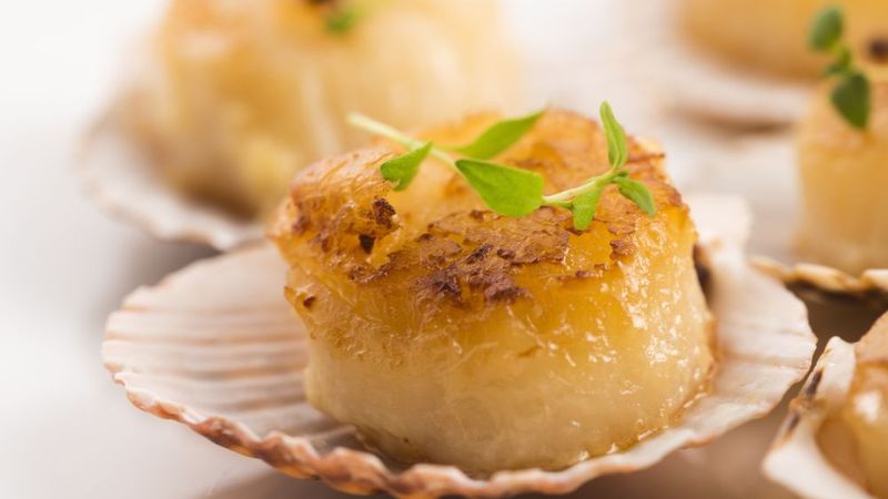 Coquilles St. Jacques
