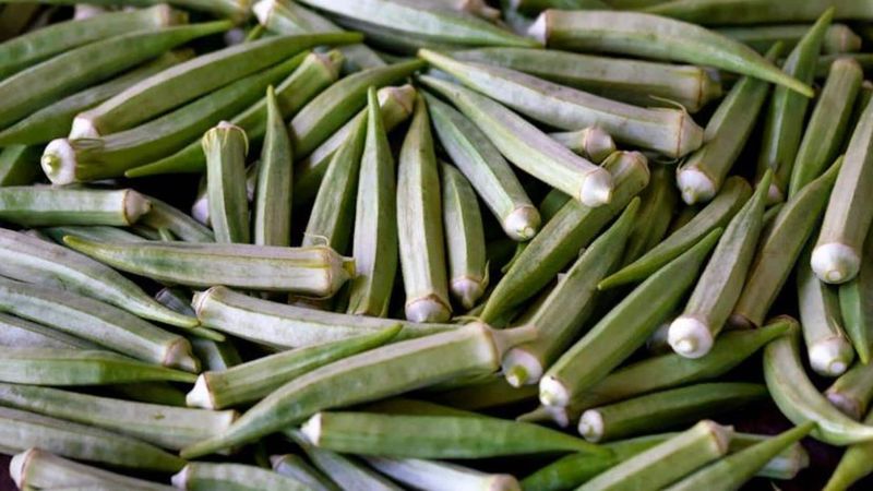 Okra