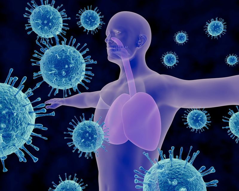 You’ll Strengthen Your Immune System