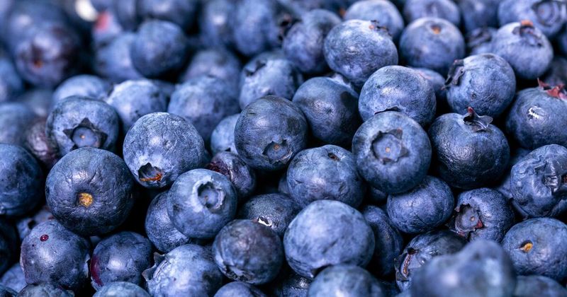Blueberries