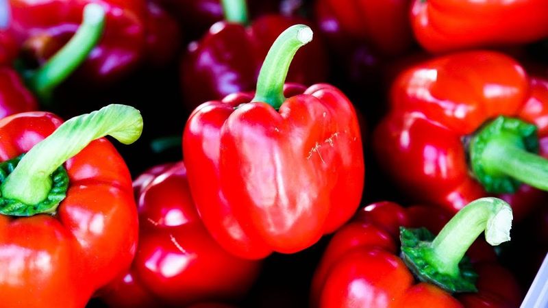 Red Bell Peppers