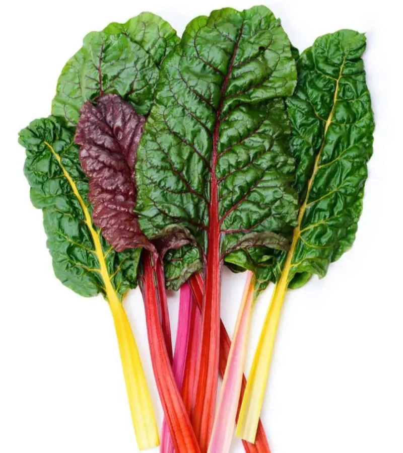 Swiss Chard