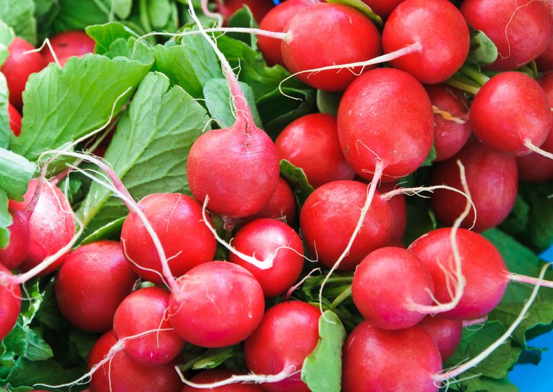 Radishes